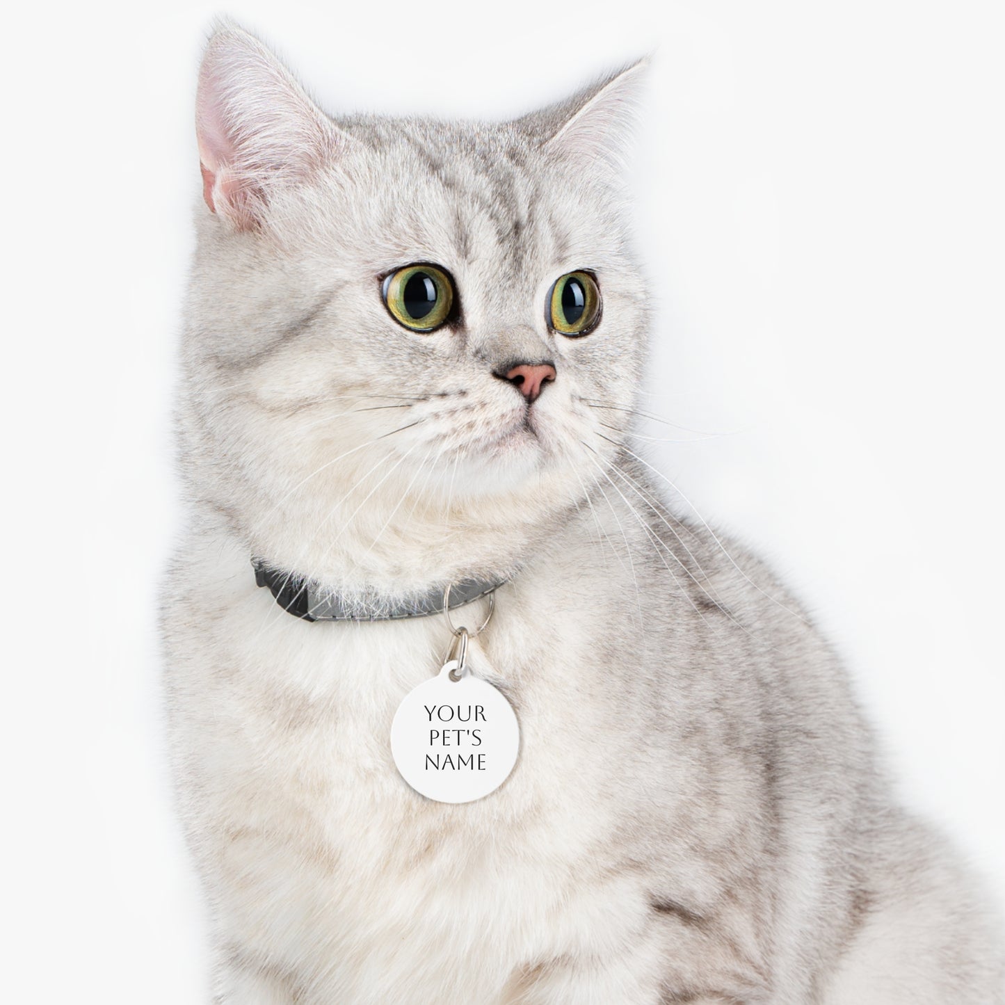 Pet Tag, Personalized Metal ID Tag for Dogs and Cats, Custom Name Tag, Elegant Pet Accessories, Pet Collar Tag, Pet ID Tag with Contact Info