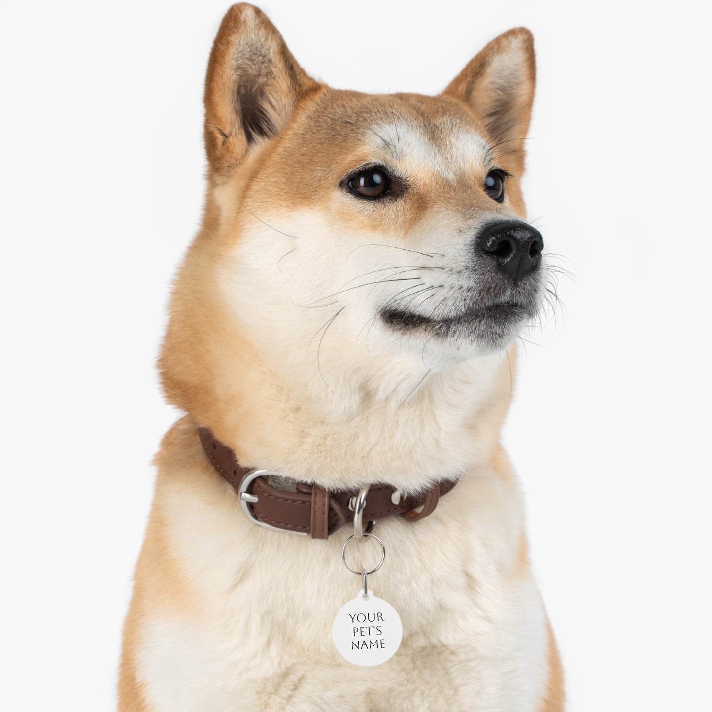Pet Tag, Personalized Metal ID Tag for Dogs and Cats, Custom Name Tag, Elegant Pet Accessories, Pet Collar Tag, Pet ID Tag with Contact Info